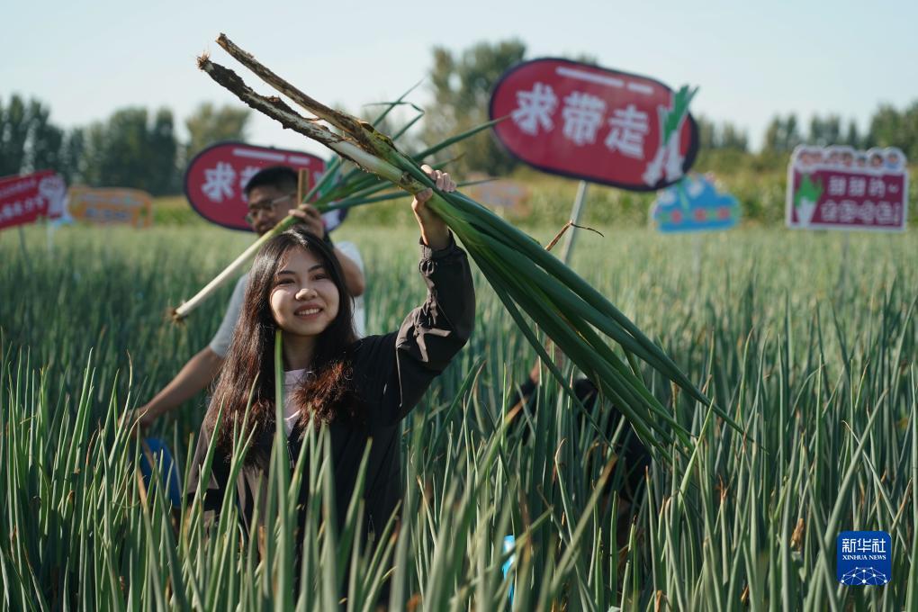 金鸡下蛋老虎机诀窍